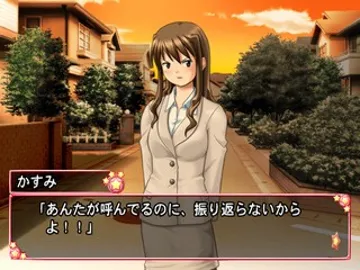 Otome no Jijou (Japan) screen shot game playing